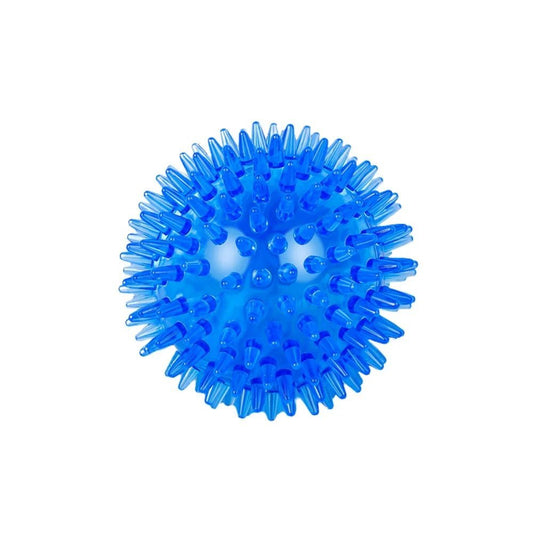 Balle pour Chien - BiteResistantBall™ - Bleu - Carrefour chien