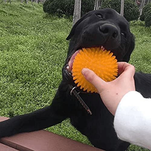 Balle pour Chien - BiteResistantBall™ - Orange - Carrefour chien