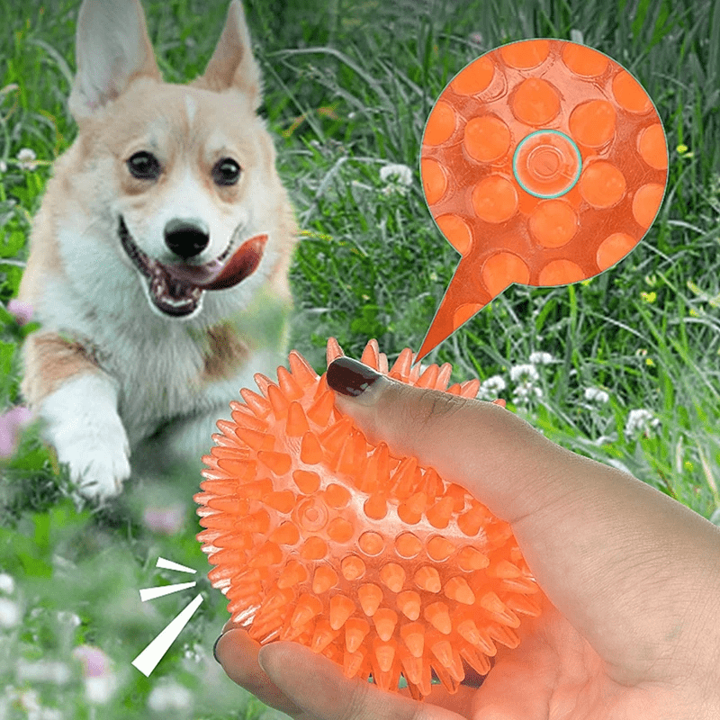 Balle pour Chien - BiteResistantBall™ - Orange - Carrefour chien