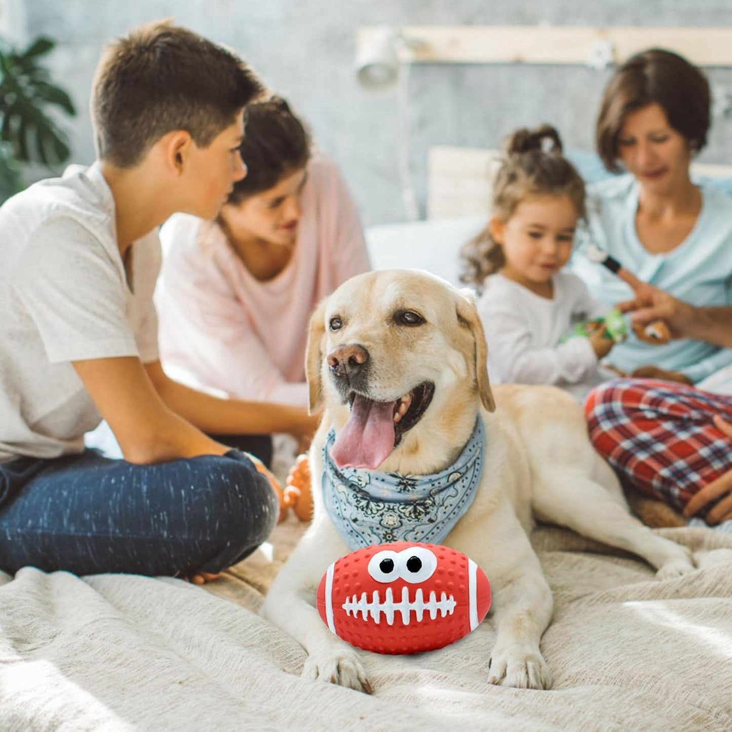 Balle pour Chien - DogBallLatex™ - Rugby Rouge - Carrefour chien