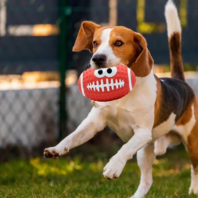 Balle pour Chien - DogBallLatex™ - Rugby Rouge - Carrefour chien