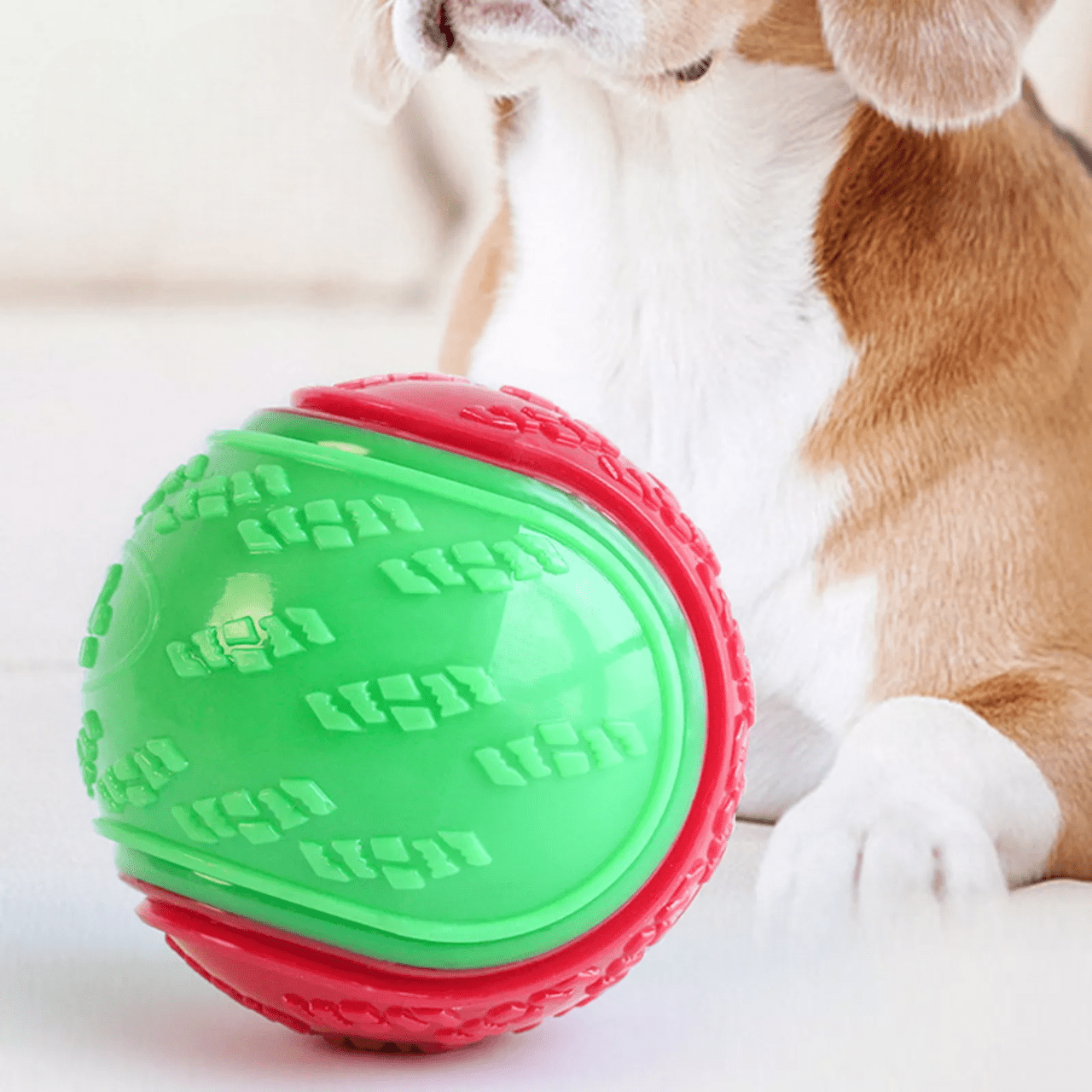 Balle pour Chien - InteractiveToys™ - Vert - Carrefour chien