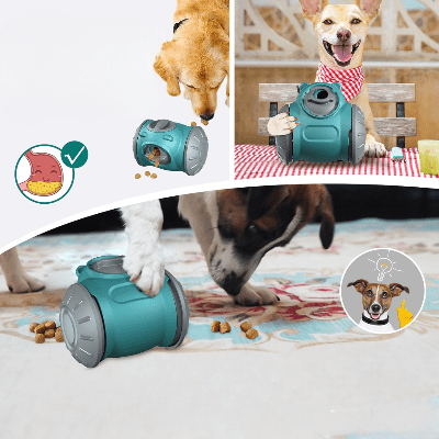 Distributeur de Croquettes pour Chien - BrainChase™ - Turquoise - Carrefour chien