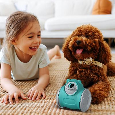 Distributeur de Croquettes pour Chien - BrainChase™ - Turquoise - Carrefour chien