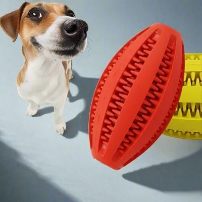 Jouet Interactif pour Chien - ChewBounceBall™ - Rouge - Carrefour chien